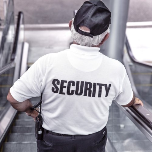 security guard/man